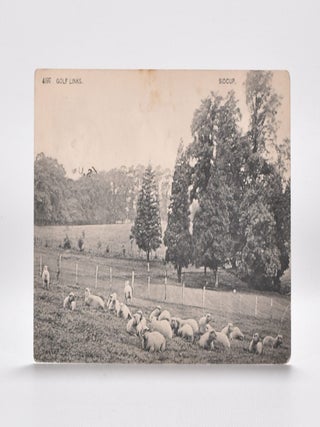 Item #3786 4097 Golf Links. Sidcup. Postcard